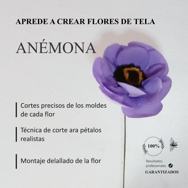 Anémonas: La Belleza Atemporal que Puedes Crear con tus Manos